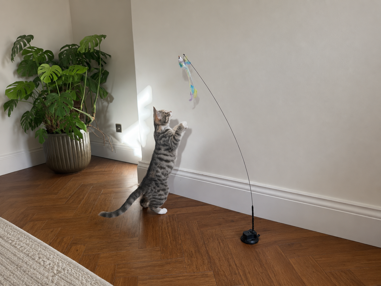 Tabby cat batting at a hands-free bird teaser wand with suction base on wooden floor