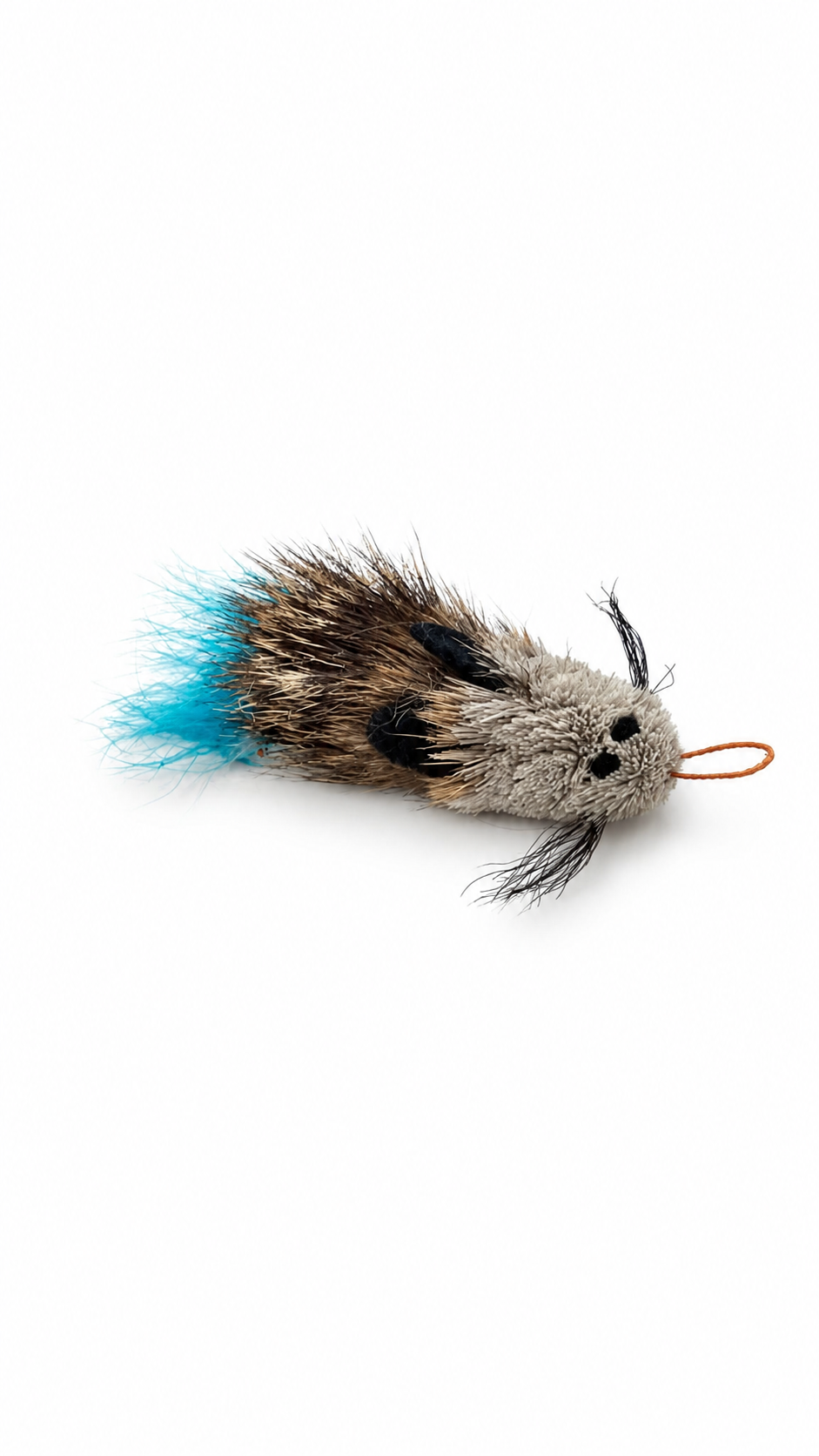 Feather Tail Rat