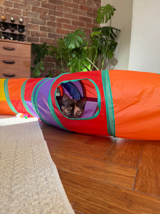 Cat Tunnel, S-Shape Foldable Play Tunnel for Indoor Cats