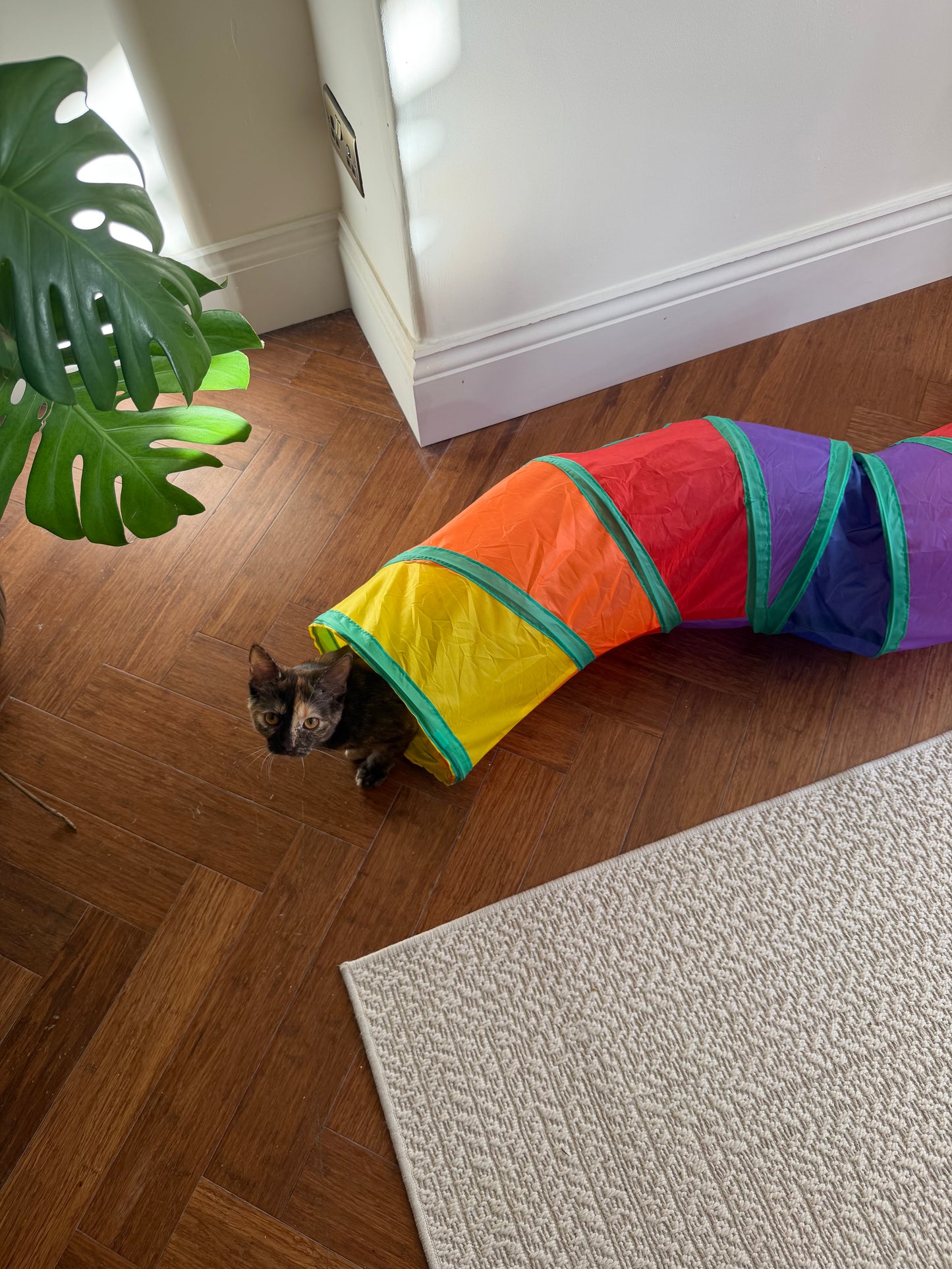 Cat Tunnel, S-Shape Foldable Play Tunnel for Indoor Cats