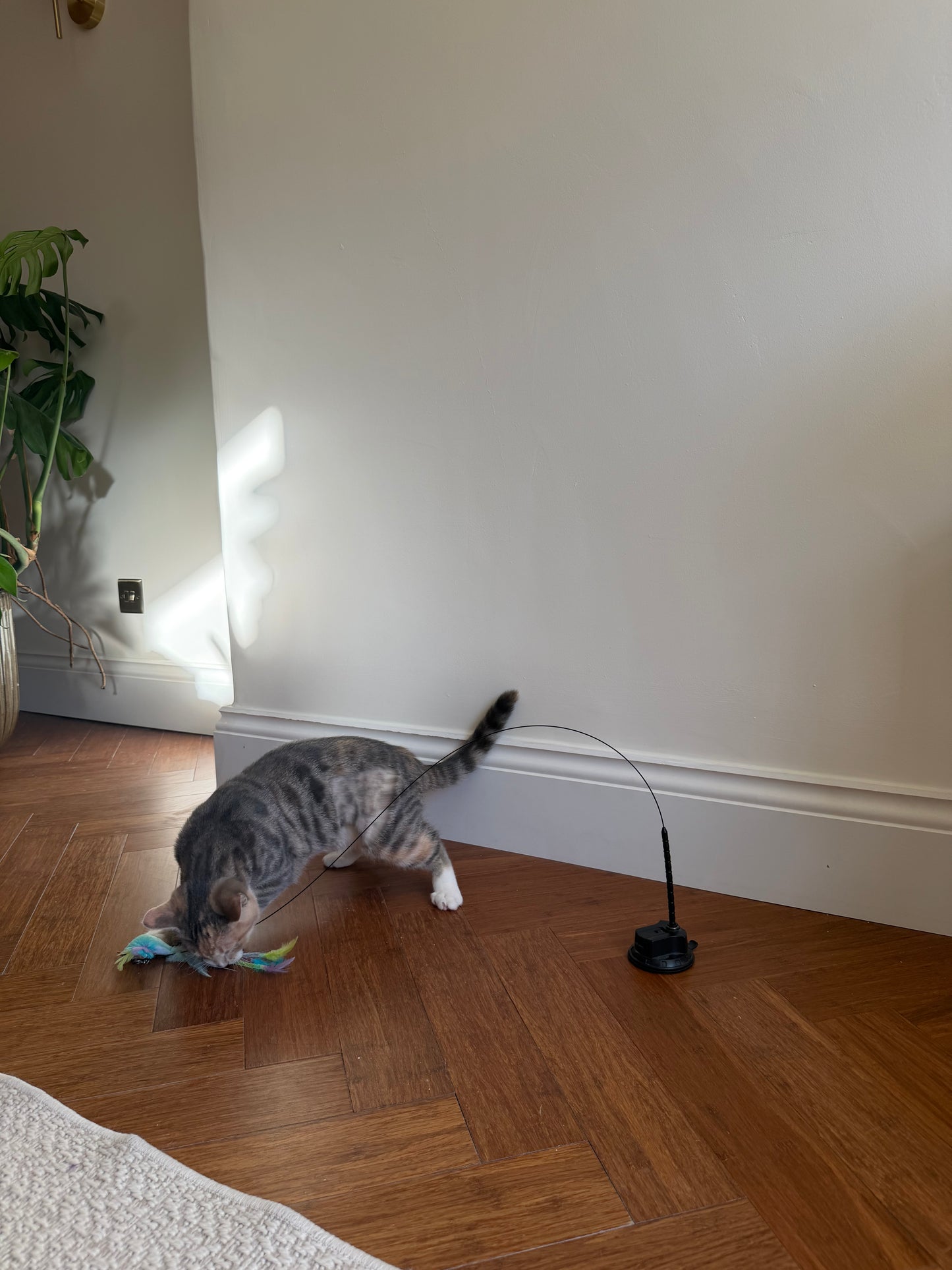 Cat Bird Teaser Wand, Hands-Free Boredom Buster with Suction Base