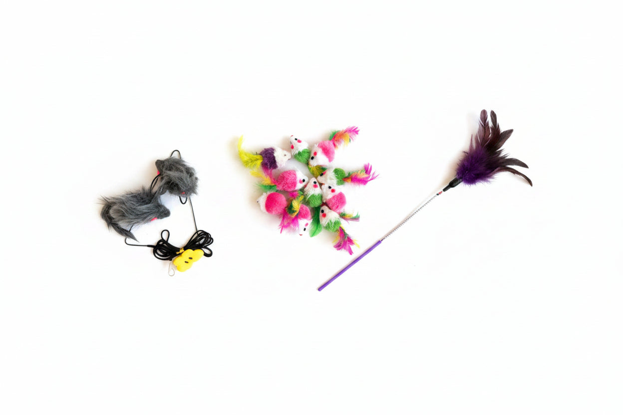 Kitten Starter Kit, 3-Toy Indoor Enrichment Bundle for New Kittens