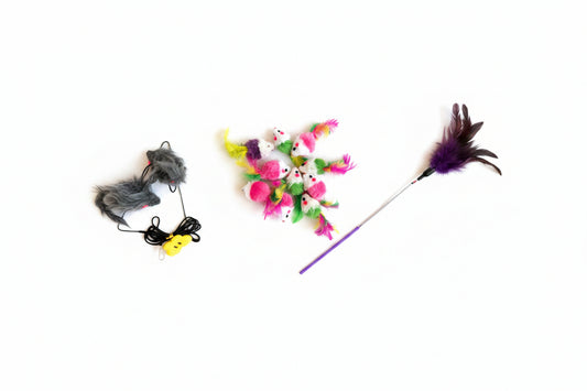 Kitten Starter Kit, 3-Toy Indoor Enrichment Bundle for New Kittens
