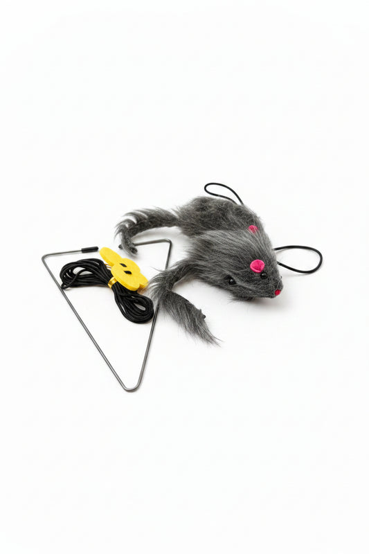 Cat Door Toy (2-Pack), Bouncing Boredom Buster for Indoor Cats