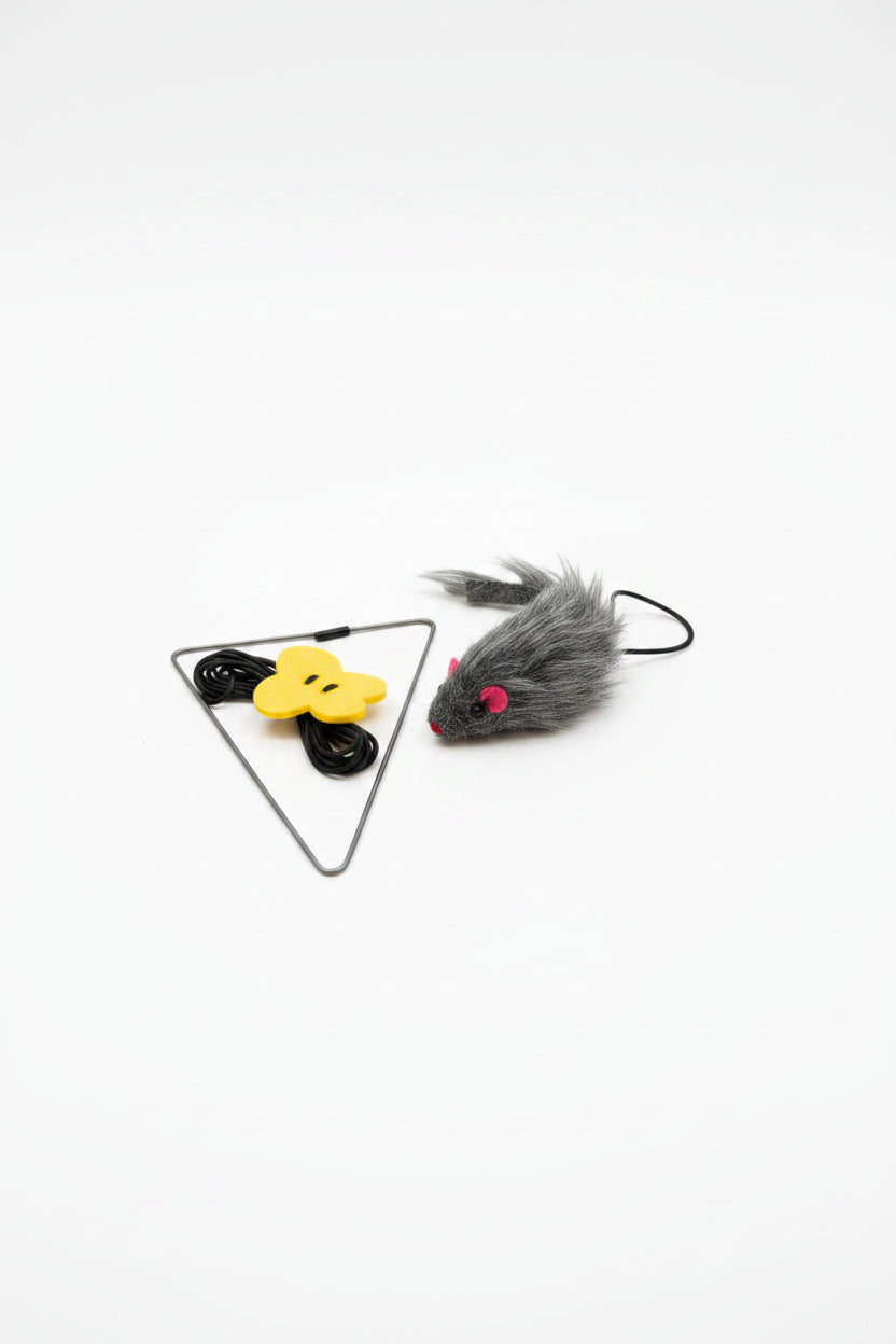 Cat Door Toy (2-Pack), Bouncing Boredom Buster for Indoor Cats